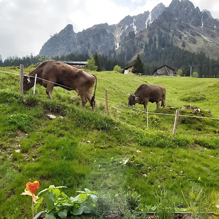 Vergalda * Gargellen