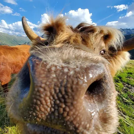 Vergalda Διαμέρισμα Gargellen