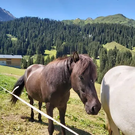 Διαμέρισμα Vergalda